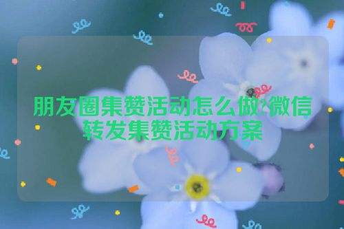 朋友圈集赞活动怎么做?微信转发集赞活动方案 第1张