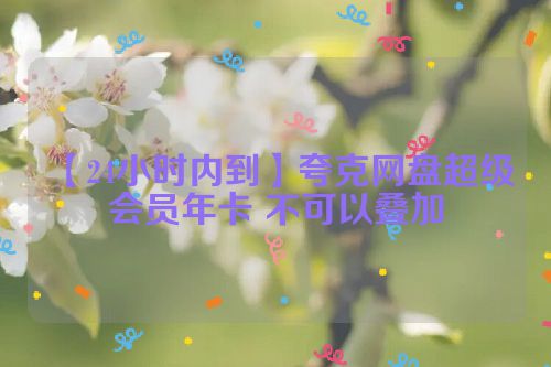 【24小时内到】夸克网盘超级会员年卡 不可以叠加