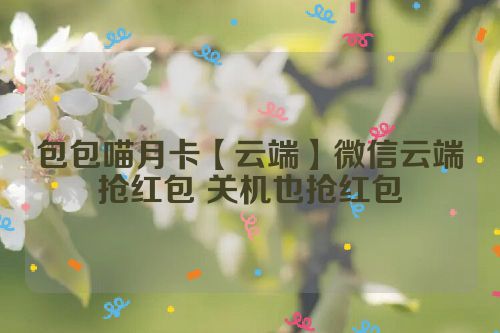 包包喵月卡【云端】微信云端抢红包 关机也抢红包