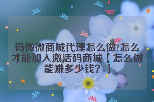 码微微商城代理怎么做?怎么才能加入激活码商城【怎么做能赚多少钱？】 码微微商城代理介绍 第1张